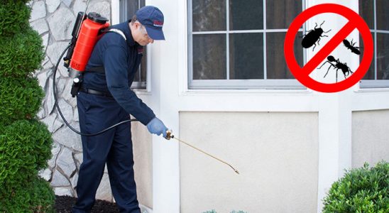 Merzifon Fare İlaçlama böcek ilaçlama ve haşere kontrolü — ilaclama-tr.com